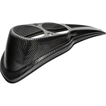 SLYFOX  Carbon Fiber Dash Panel 濕碳纖維儀表板面板 (22-23 FXLRS/FXLRST)